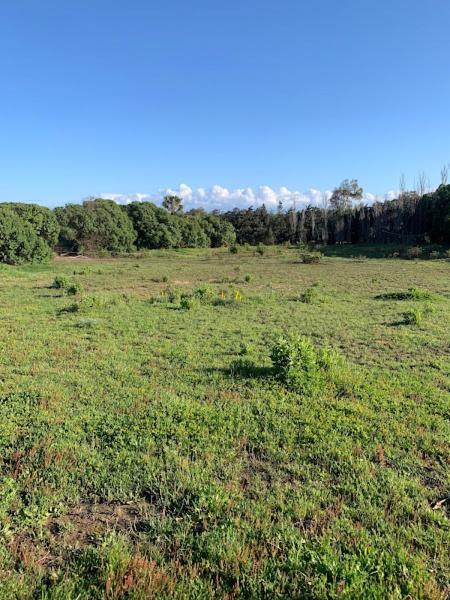 Finca Dos Vientos Tarifa Luaran gambar