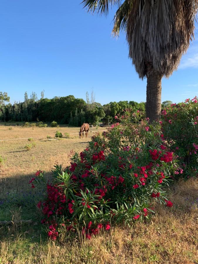Finca Dos Vientos Tarifa Luaran gambar